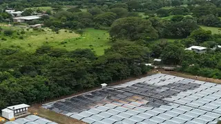Vista aérea de una planta solar en el campo
